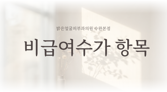 비급여수가 항목 안내