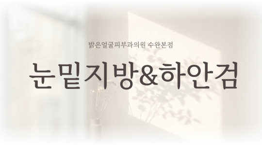 눈밑지방&상하안검 안내