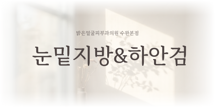 시술정보